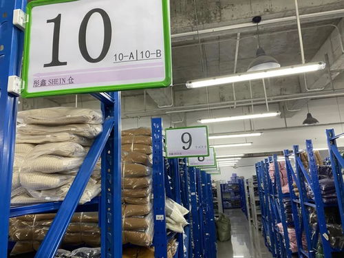 从流水线到直播间 东莞工厂退潮，年轻人涌入Shein与TikTok的掘金新浪潮